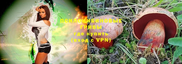 спайс Болхов