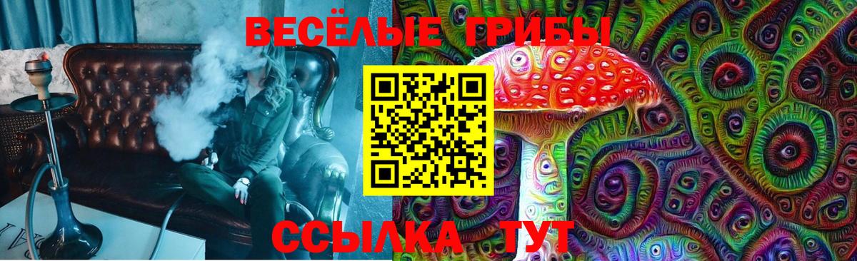 Галлюциногенные грибы Cubensis Карабулак