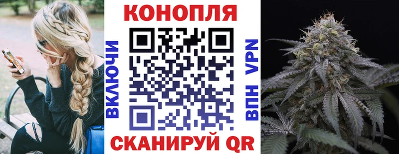 Каннабис сатива  Карабулак 